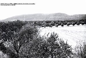 a-Vieville - 036